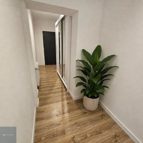 Mieszkanie 2-pokojowe Katowice Śródmieście, ul. Krzywa. Zdjęcie 4