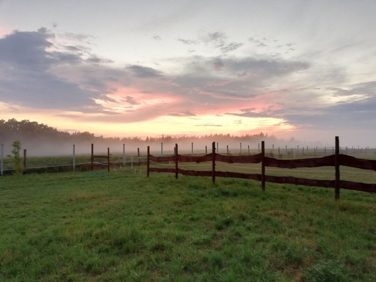 Działka rolna Jarnatów. Zdjęcie 10