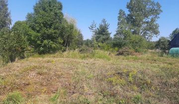 Działka siedliskowa Wilczonek