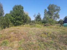 Działka siedliskowa Wilczonek