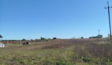 Działka rolno-budowlana Górzyca, ul. Tulipanowa