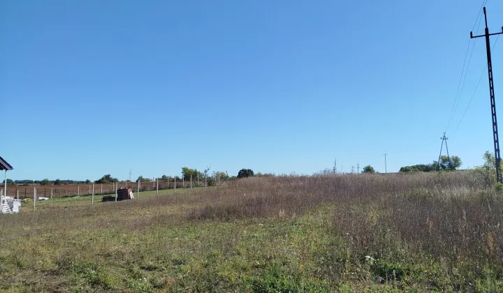 Działka rolno-budowlana Górzyca, ul. Tulipanowa