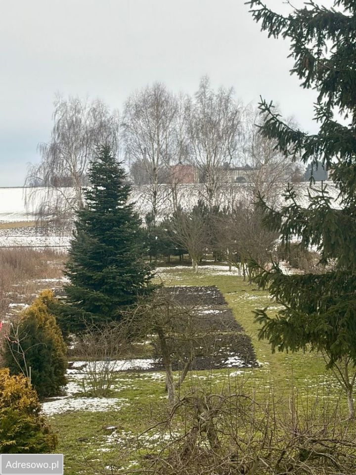 dom wolnostojący, 5 pokoi Kietrz. Zdjęcie 10