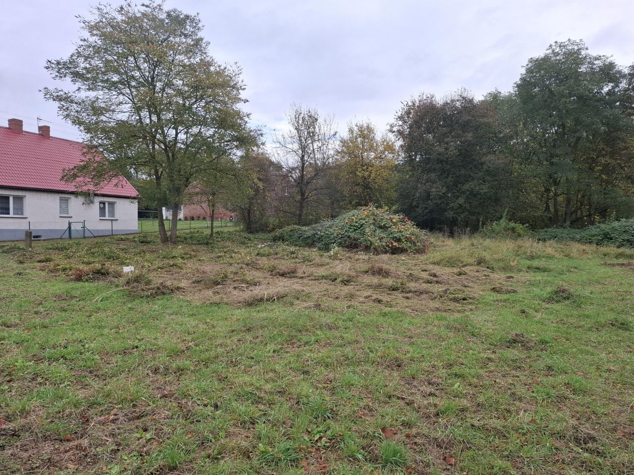 Działka rolno-budowlana Brożek. Zdjęcie 3