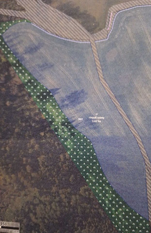 Działka rolna Włosty. Zdjęcie 3