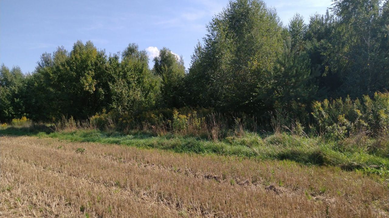 Działka rolna Trawniki. Zdjęcie 6