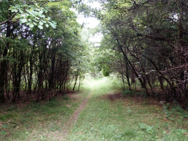 Działka rekreacyjna Władzin. Zdjęcie 1