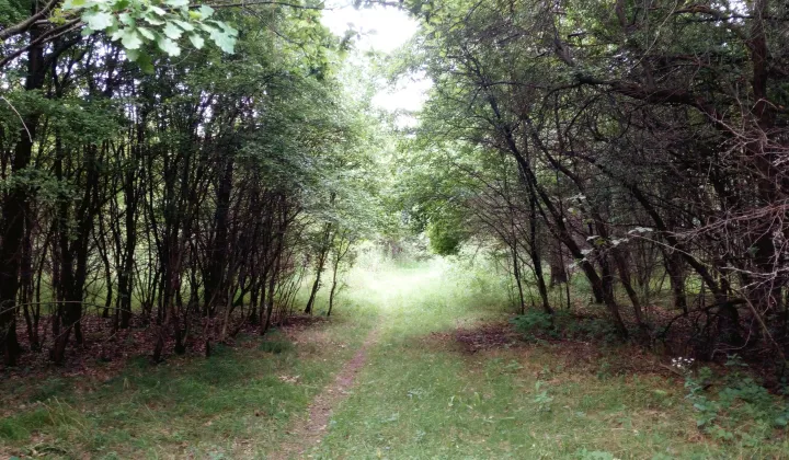 Działka rekreacyjna Władzin