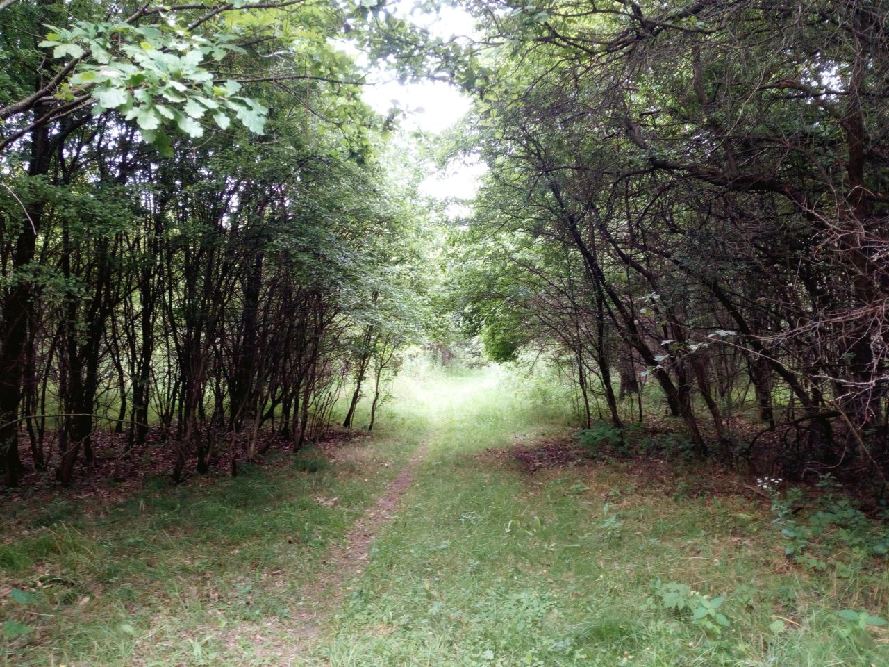 Działka rekreacyjna Władzin