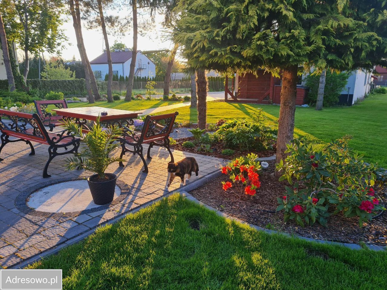 dom wolnostojący, 9 pokoi Michałów-Reginów, ul. Warszawska. Zdjęcie 11