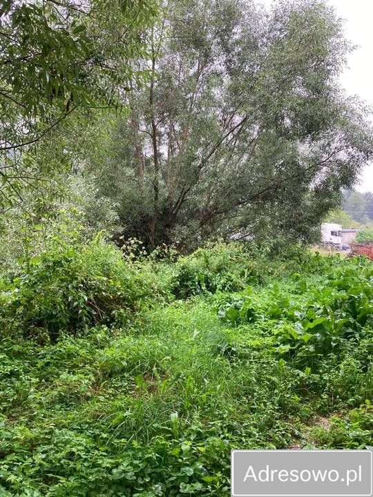 Lokal Ropienka. Zdjęcie 8