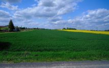 Działka budowlana Witaniów. Zdjęcie 1