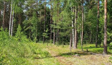 Działka rolna Kokoszki