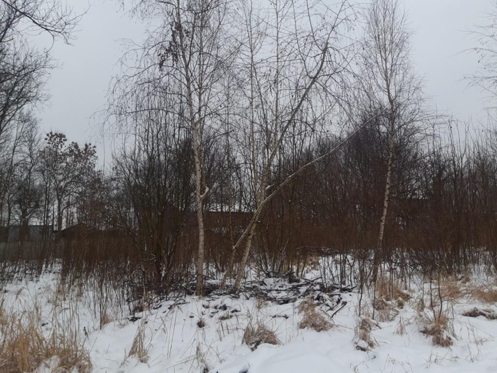 Działka budowlana Zabrze Zaborze, ul. Skarbnika. Zdjęcie 1