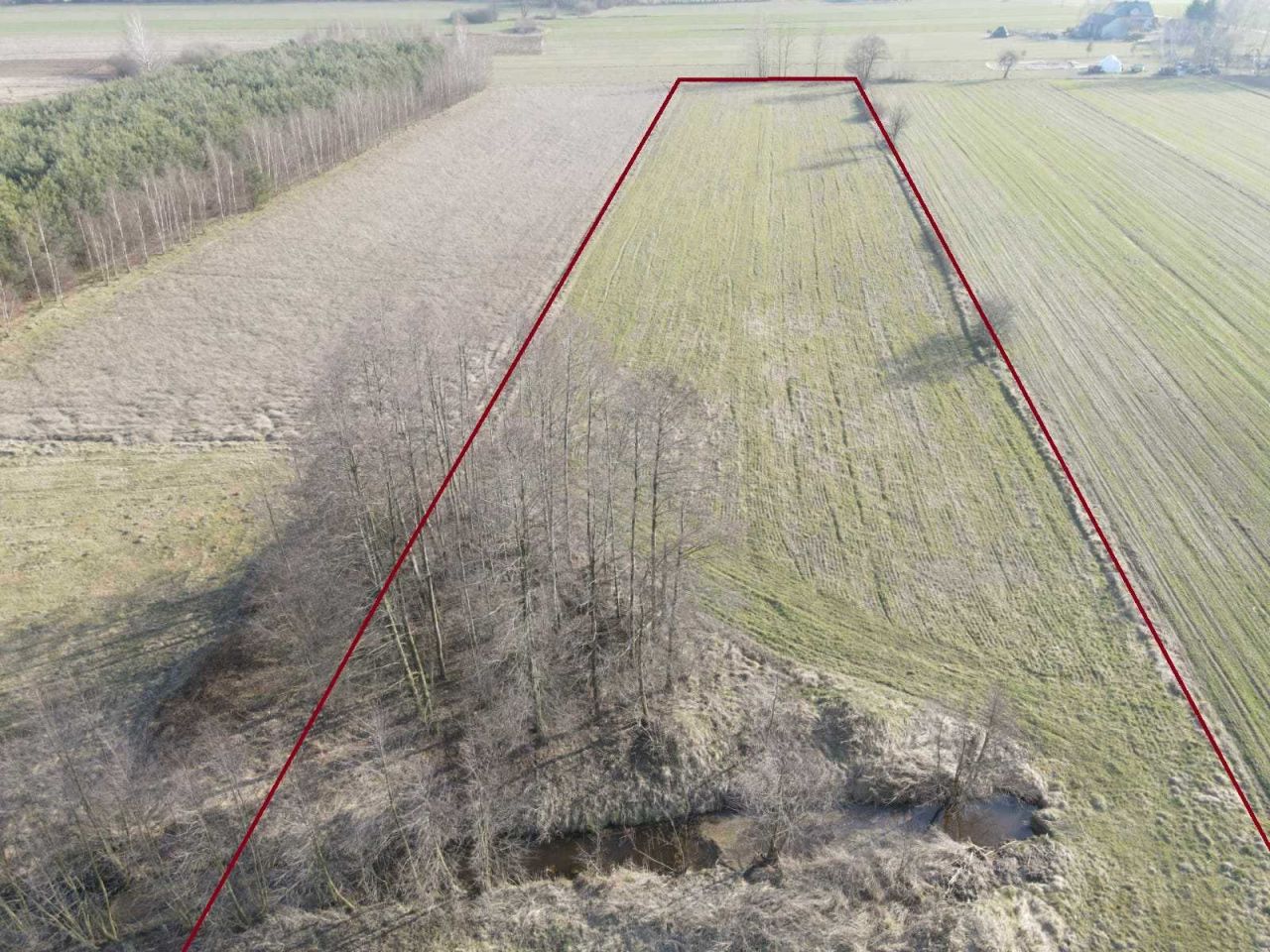 Działka rolna Przywitowo. Zdjęcie 3