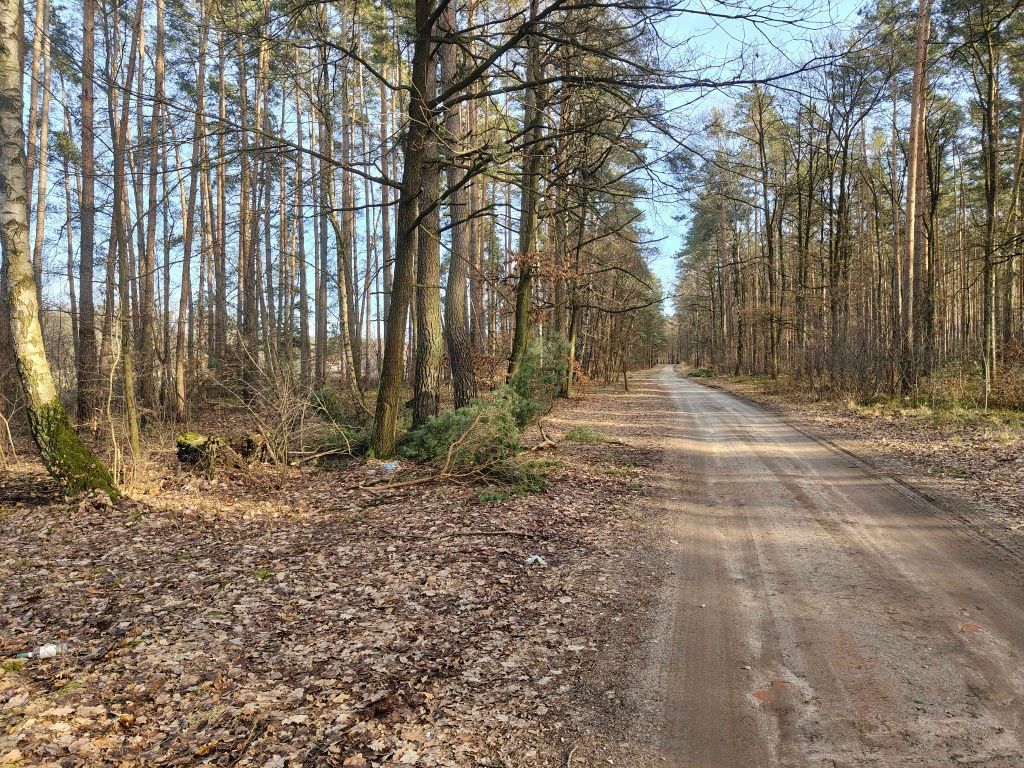Działka budowlana Biadaszka Zwierzyniec. Zdjęcie 2