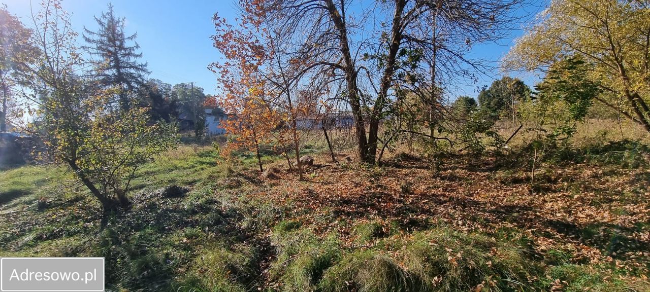Działka rolno-budowlana Skwary. Zdjęcie 4