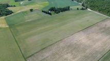 Działka rolna Skwierawy. Zdjęcie 4