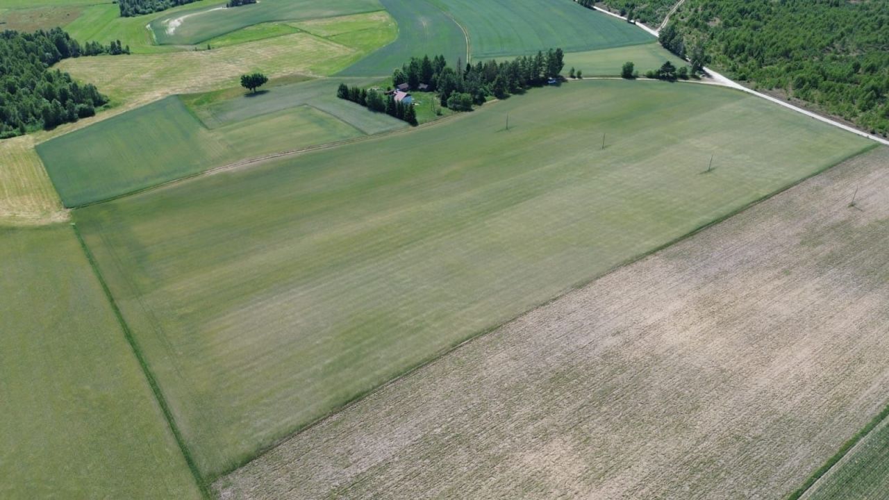 Działka rolna Skwierawy. Zdjęcie 5