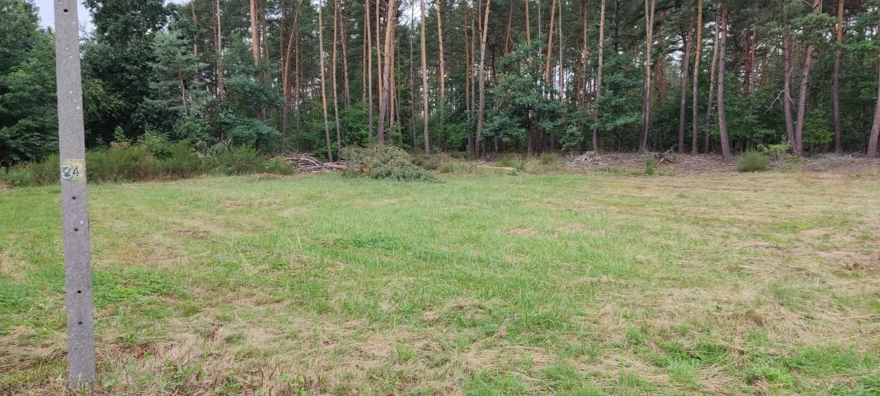 Działka rolno-budowlana Borzęcin Czarnawa. Zdjęcie 8