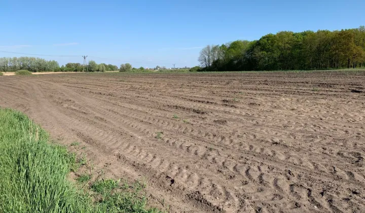 Działka budowlana Mielno