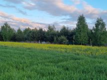 Działka budowlana Charlęż Charlęż-Kolonia