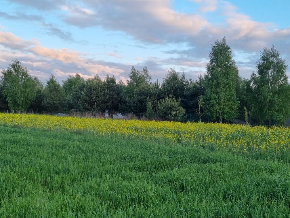 Działka budowlana Charlęż Charlęż-Kolonia