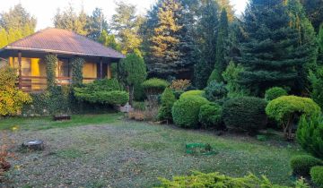 Działka rod Golub-Dobrzyń