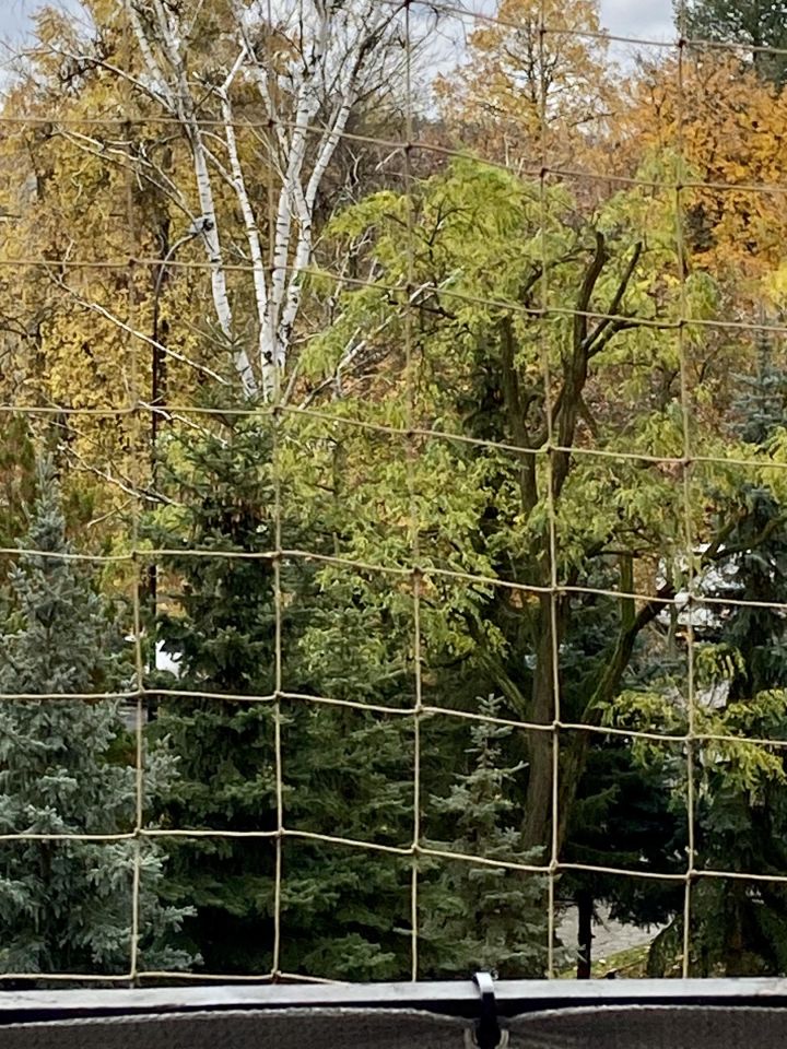 Mieszkanie 2-pokojowe Mielec, ul. Grunwaldzka. Zdjęcie 8