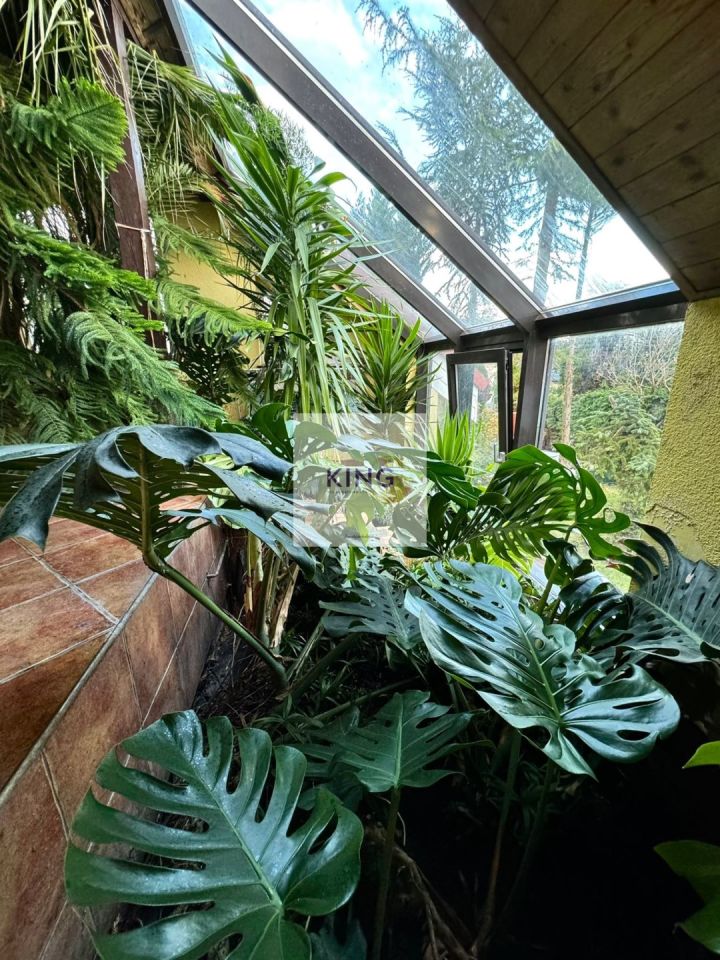 dom wolnostojący, 5 pokoi Gryfino Górny Taras. Zdjęcie 14