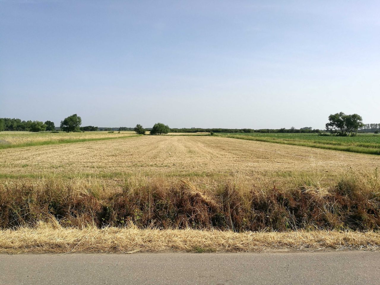 Działka budowlana Chrząstów. Zdjęcie 6