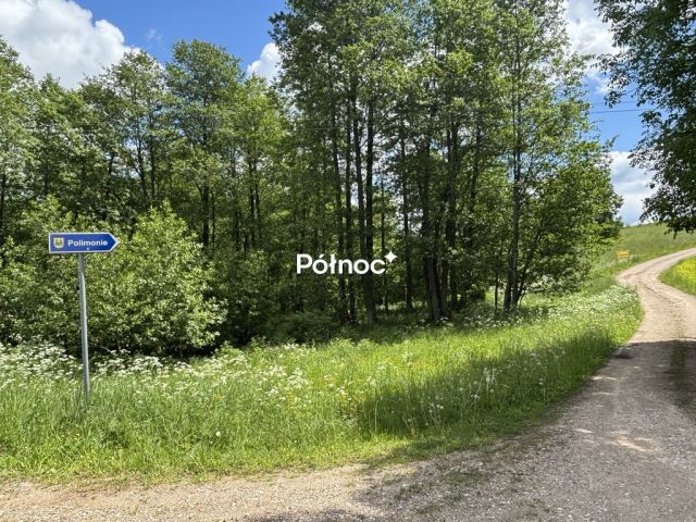 Działka Polimonie. Zdjęcie 2
