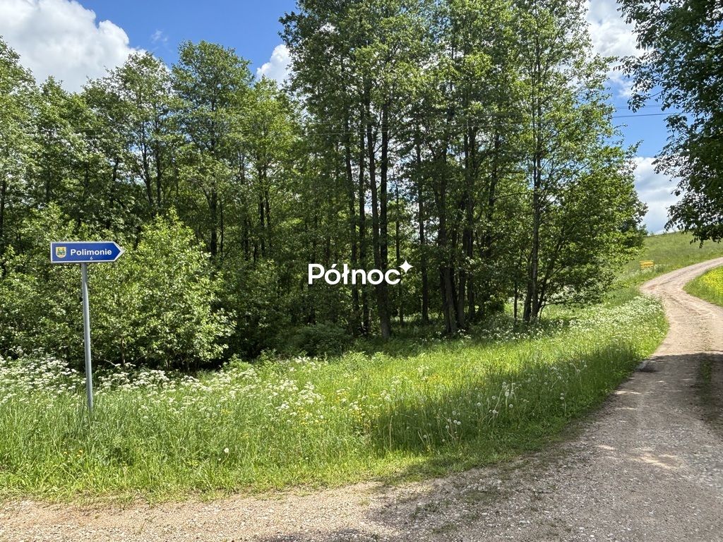 Działka Polimonie. Zdjęcie 2
