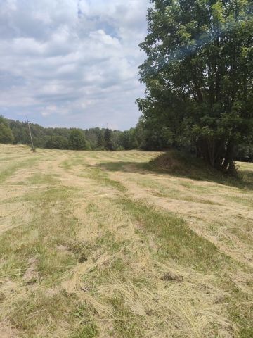 Działka rolna Rycerka Górna. Zdjęcie 1