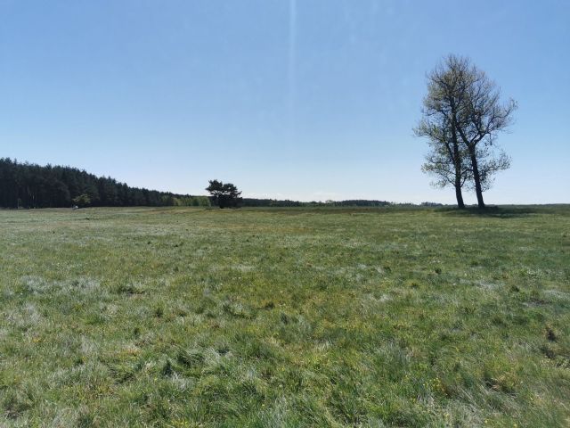 Działka rolna Święta. Zdjęcie 6