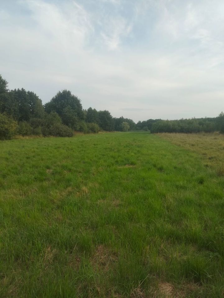 Działka rolno-budowlana Jaśkowice. Zdjęcie 5