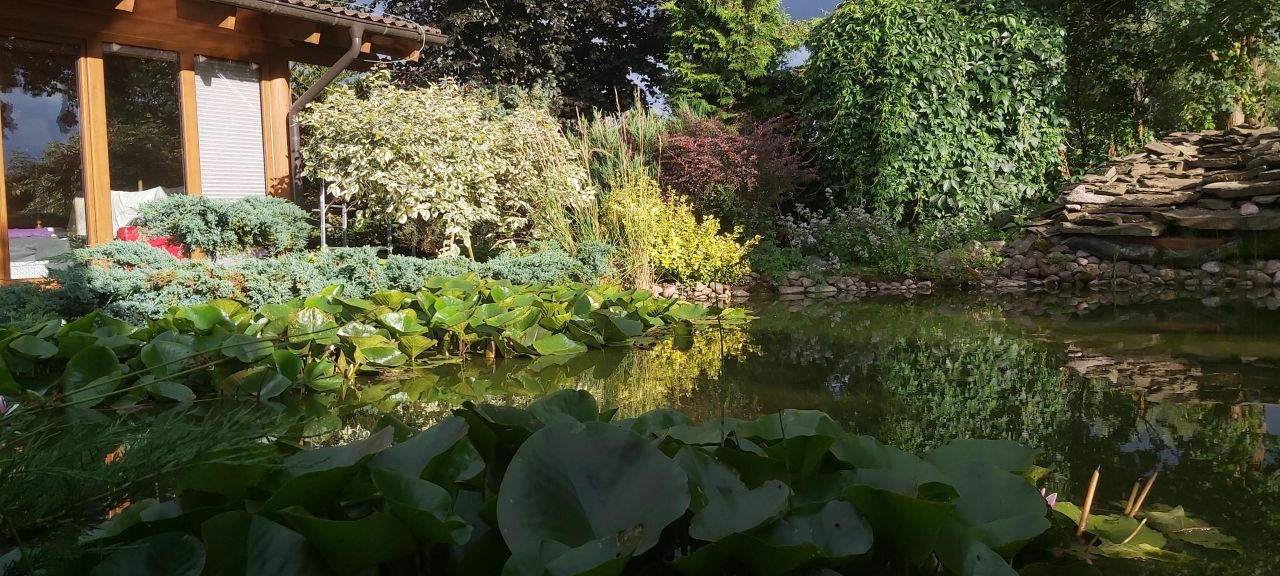 dom wolnostojący, 4 pokoje Kleszczyna. Zdjęcie 20