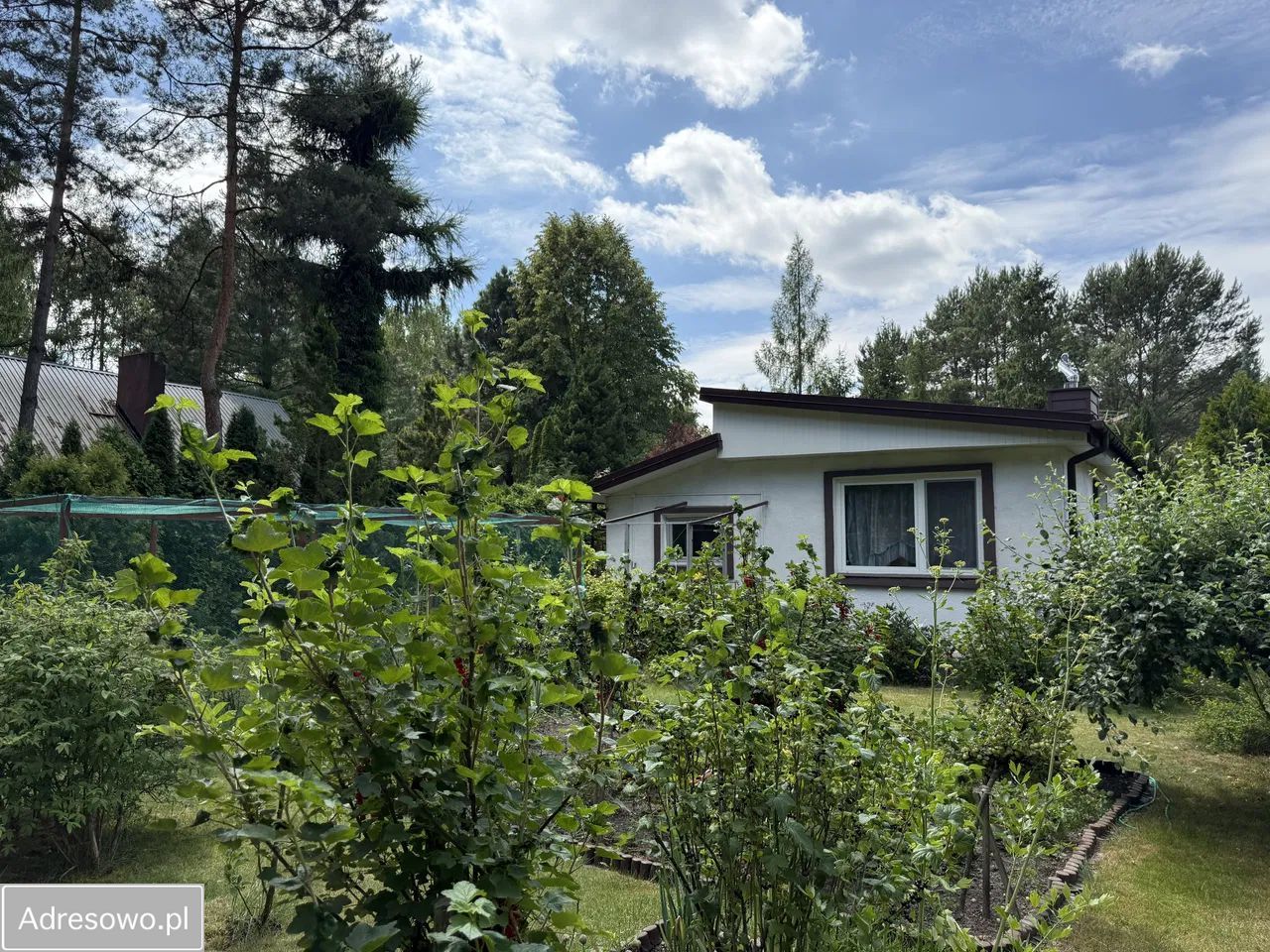 Działka rekreacyjna Chorzeszów, ul. Słoneczna. Zdjęcie 8