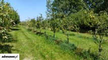 Działka rolno-budowlana Błeszno. Zdjęcie 2