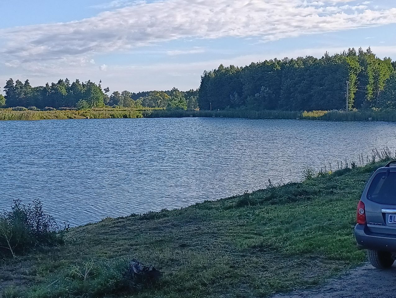 Działka rolna Gózdek. Zdjęcie 3