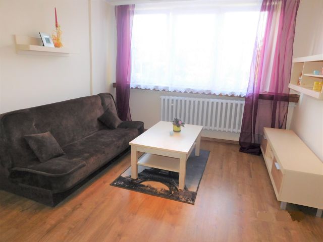 Mieszkanie 1-pokojowe Sosnowiec Centrum, ul. Ostrogórska. Zdjęcie 1