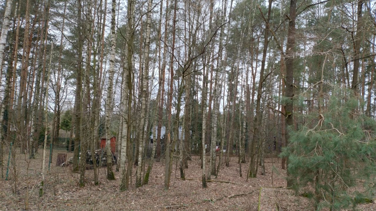 Działka budowlana Zofiówka, ul. Cmentarna. Zdjęcie 19