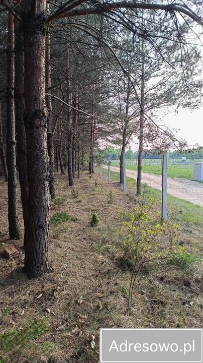 Działka budowlana Mierzwice-Kolonia. Zdjęcie 2