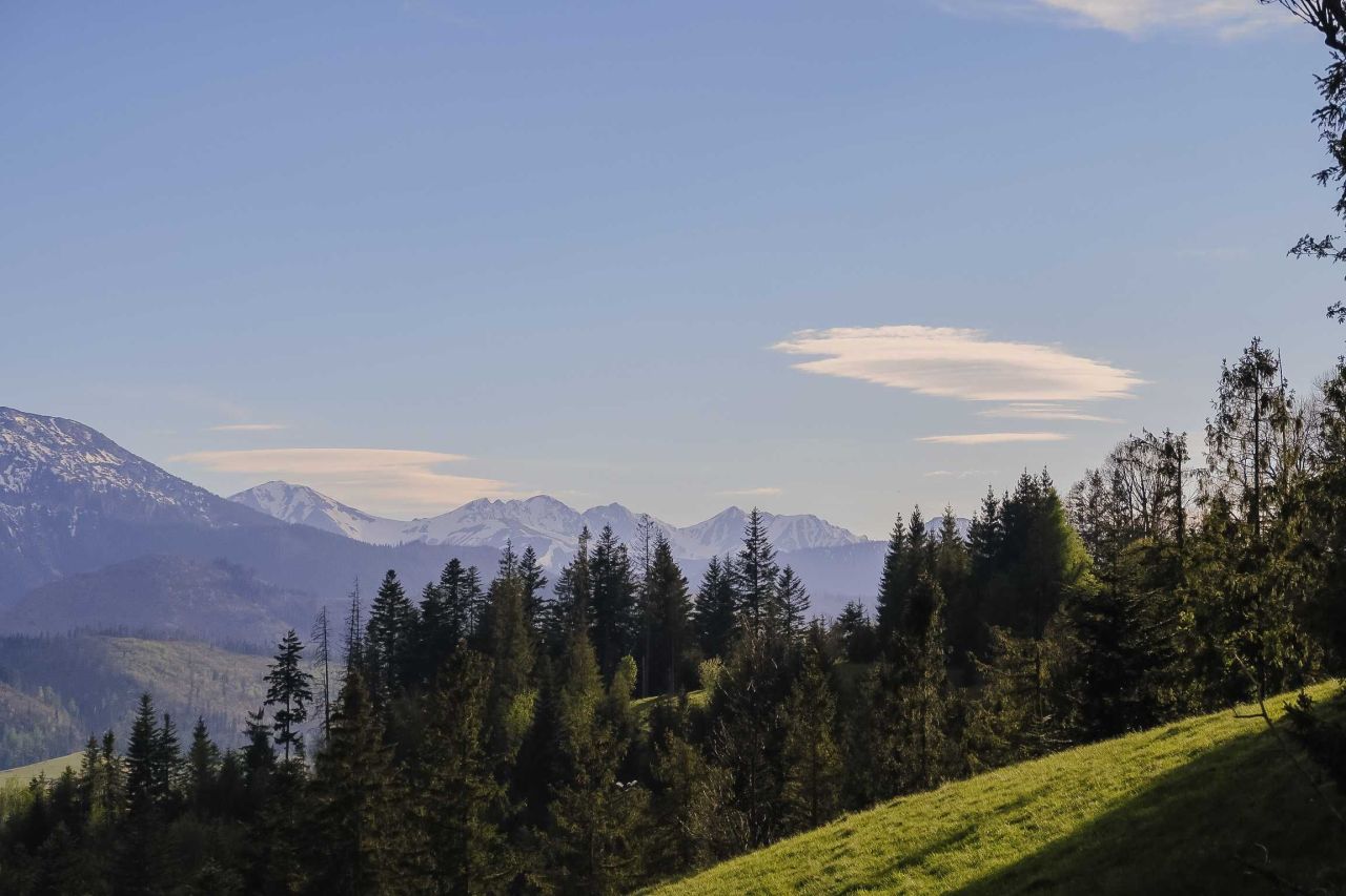 Działka inwestycyjna Zakopane Gubałówka, ul. Generała Kazimierza Sosnkowskiego. Zdjęcie 6