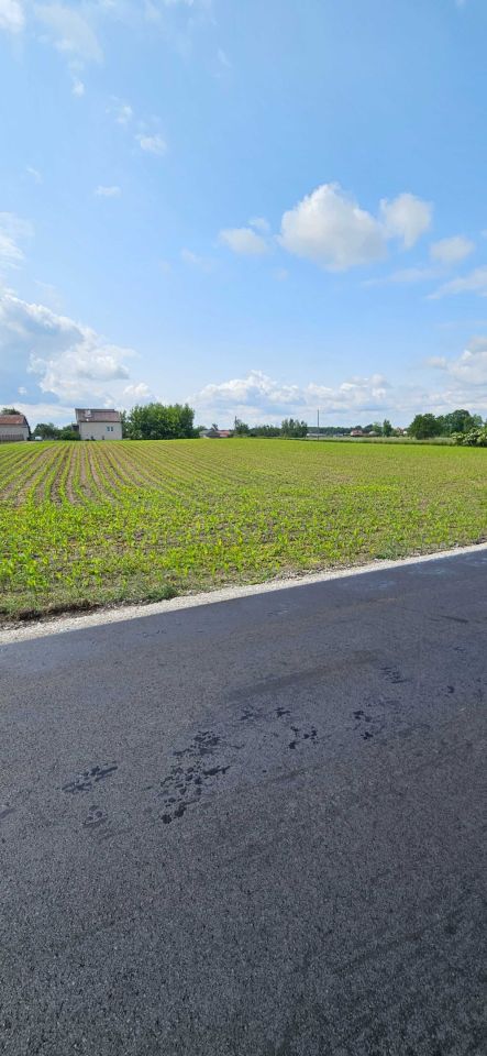 Działka rolna Łochocin. Zdjęcie 3