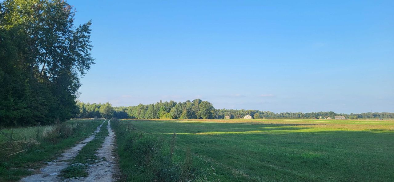 Działka budowlana Budy Ciepielińskie. Zdjęcie 8