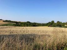 Działka budowlana Łazy. Zdjęcie 1