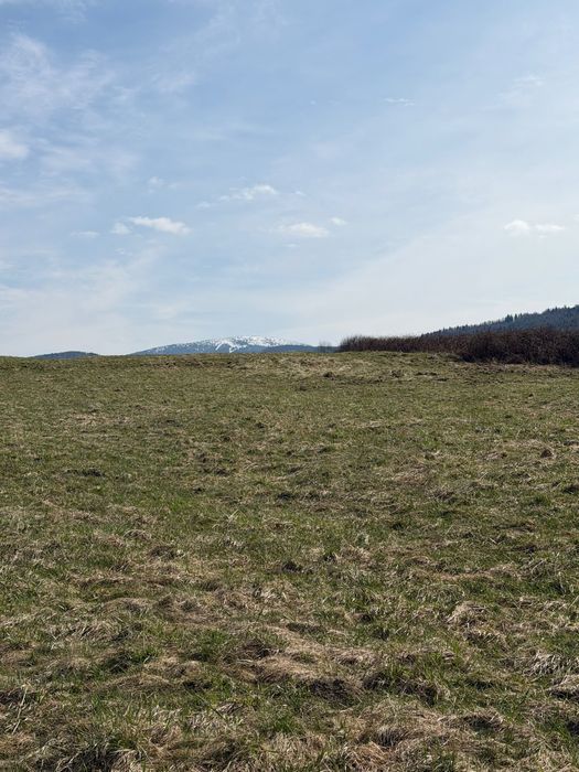 Działka rolna Sopotnia Mała. Zdjęcie 4