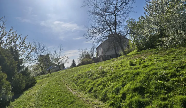 dom wolnostojący, 2 pokoje Zalesie