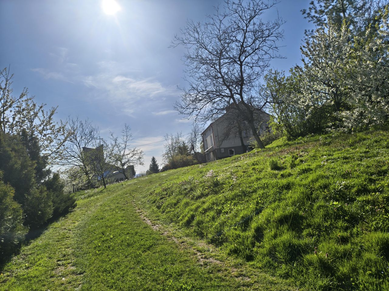 dom wolnostojący, 2 pokoje Zalesie. Zdjęcie 1